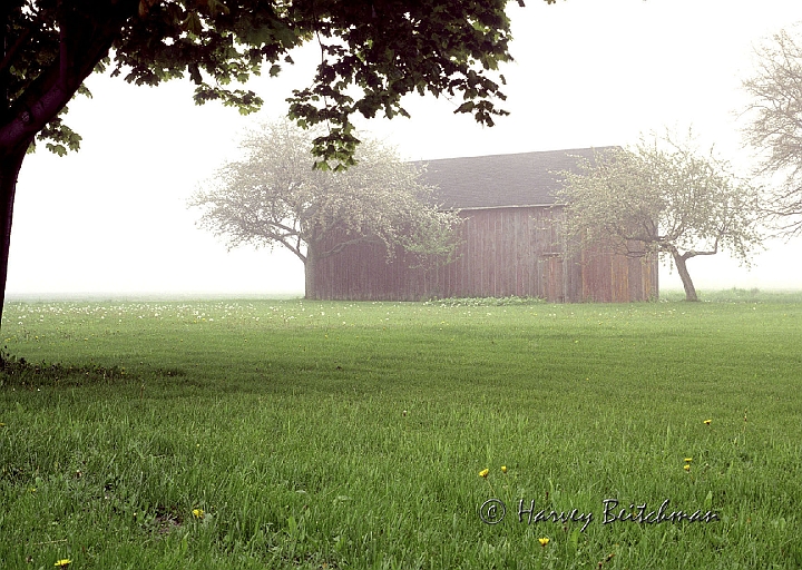 Misty in niagara.jpg